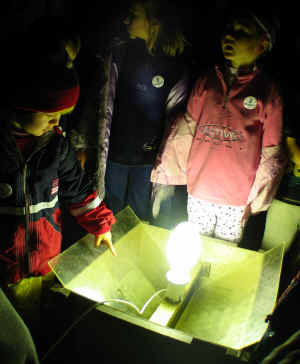 Moths are drawn to a bright light and find their way into a box.
