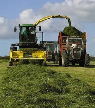 Precision Chop Silaging British Intensive Agricultural Grasslands