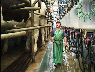 milk.jpg (101841 bytes)