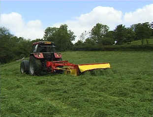 mowing1.jpg (86800 bytes)