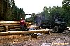 08a_hoist_logs2.jpg