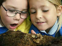 For many children, a visit to the Woodland Education Centre is the first time they have been to the countryside.