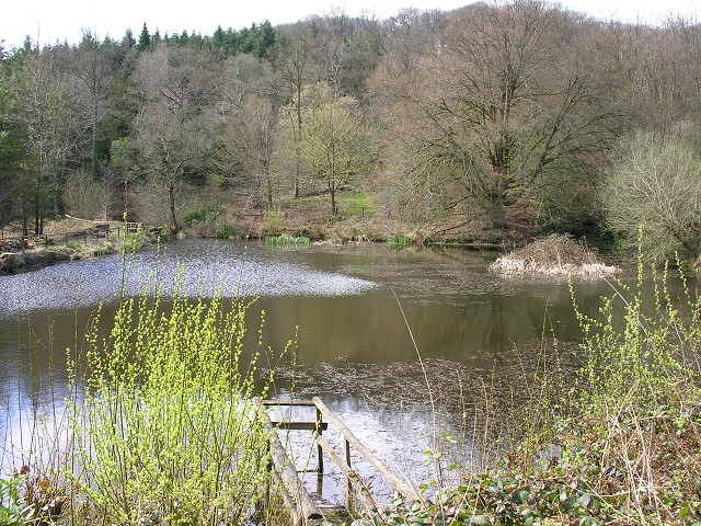 DSCN0645