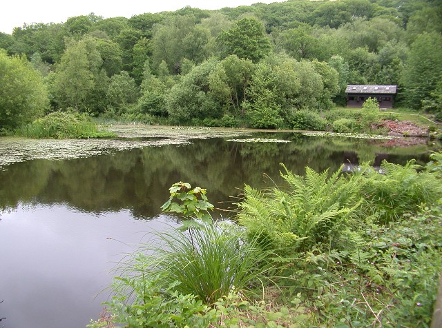 DSCN0670