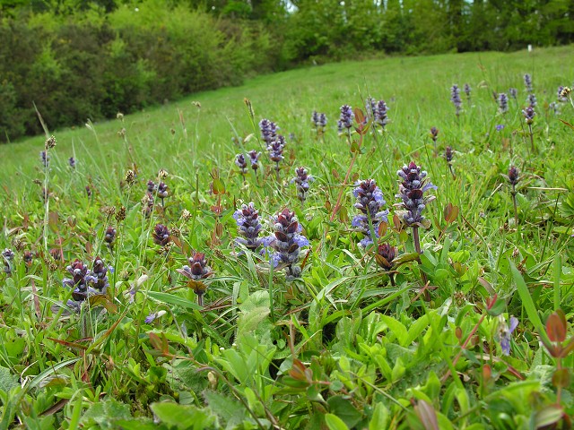 DSCN1569