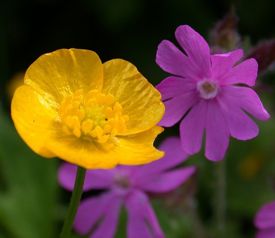 DSCN7166
