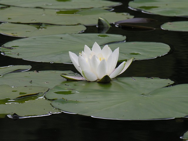 DSCN9312