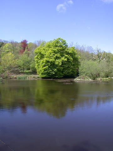 DSCN9319