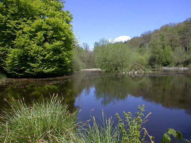 DSCN9331