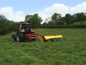 Het maaien van gras om kuilvoer te maken.