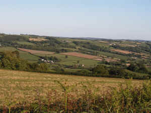 Typical Brown Hare habitat. The field in the foreground has hares in it.