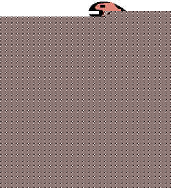 an00010_.wmf (3026 bytes)