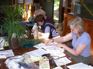 Offwell Environment Link  - Grasses Identification day led by Jean Turner