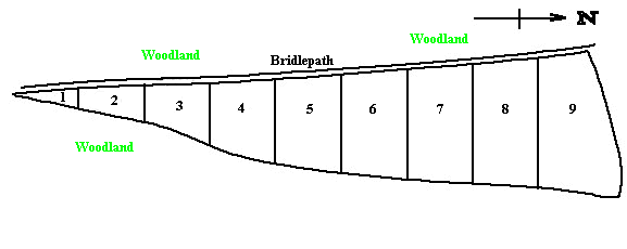 Site diagram