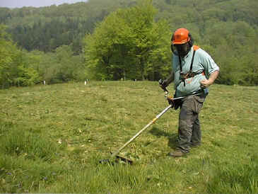 Brushcutting on the project site.