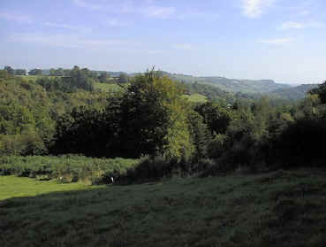 View Southeast across the Heathland Project restoration site.