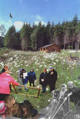 The Woodland Education Centre in South West England