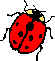 Ladybug1.wmf (3494 bytes)