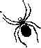 Spider1.wmf (2904 bytes)