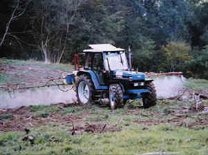 Spraying Roundup on the project site.