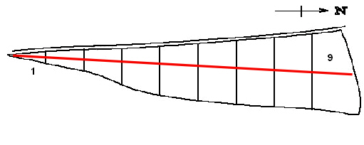 Belt transect position.