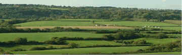 The East Devon Countryside contains two Areas of Outstanding Natural Beauty (AONB).
