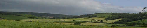 A typical Devon farming landscape.