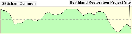 Elevation profile of the land between Gittisham Common and the Heathland Restoration Project site.