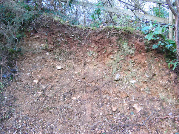 Soil profile of the Heathland Restoration Project area.