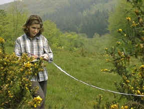 A-level student surveying the project site.