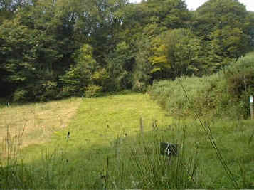 Looking west up sections 3, 4 and 5 towards the bridlepath.