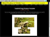 toad_frog_puz.jpg (10760 bytes)