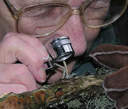 Many lichens require a hand lens (shown here a X10) for proper observation.