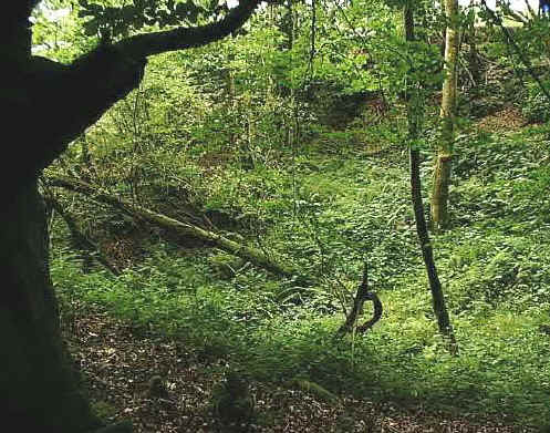 mill_site.jpg (74228 bytes)