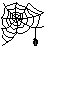 spidanim.gif (887 bytes)