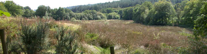 The field from Beech Walk which is part of the 50 acre Woodland Education Centre. The boundary fence posts can be seen in the foreground.