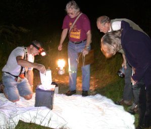 5augImage05.jpg (20188 bytes)