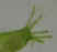 Click No.22 below for a bigger picture