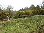 The importance of heathland habitats is explained to HRH The Princess Royal