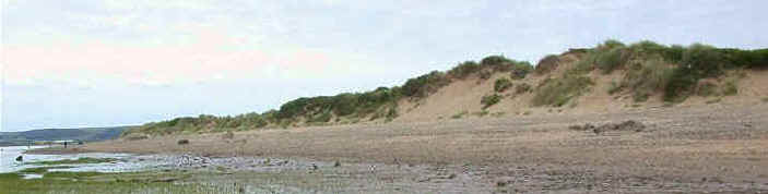 With high wind speeds and little sand, the wind will continually shift the sand from the top of the dune to the windward edge, causing the dune to move landwards - a mobile dune.