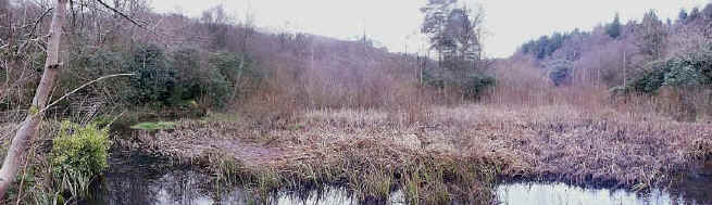 This is a hydrosere. A succession beginning with open freshwater and gradually changing to woodland.