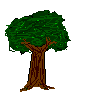 tree.gif (12423 bytes)