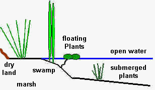 wpe4D.jpg (6111 bytes)