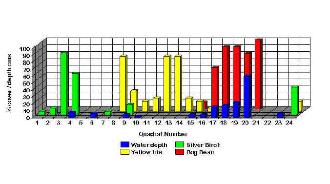 Transect Chart