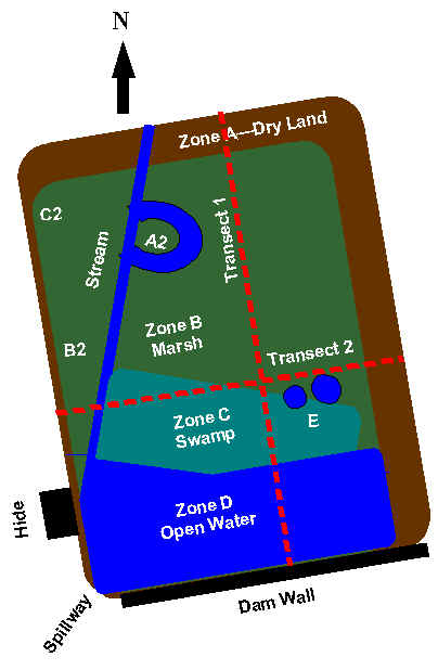 wpe63.jpg (26553 bytes)