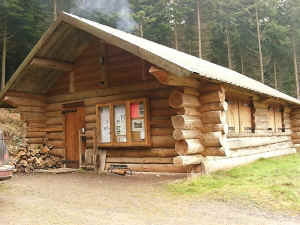  Cabins on Log Cabins