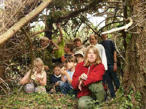 Shelter Building